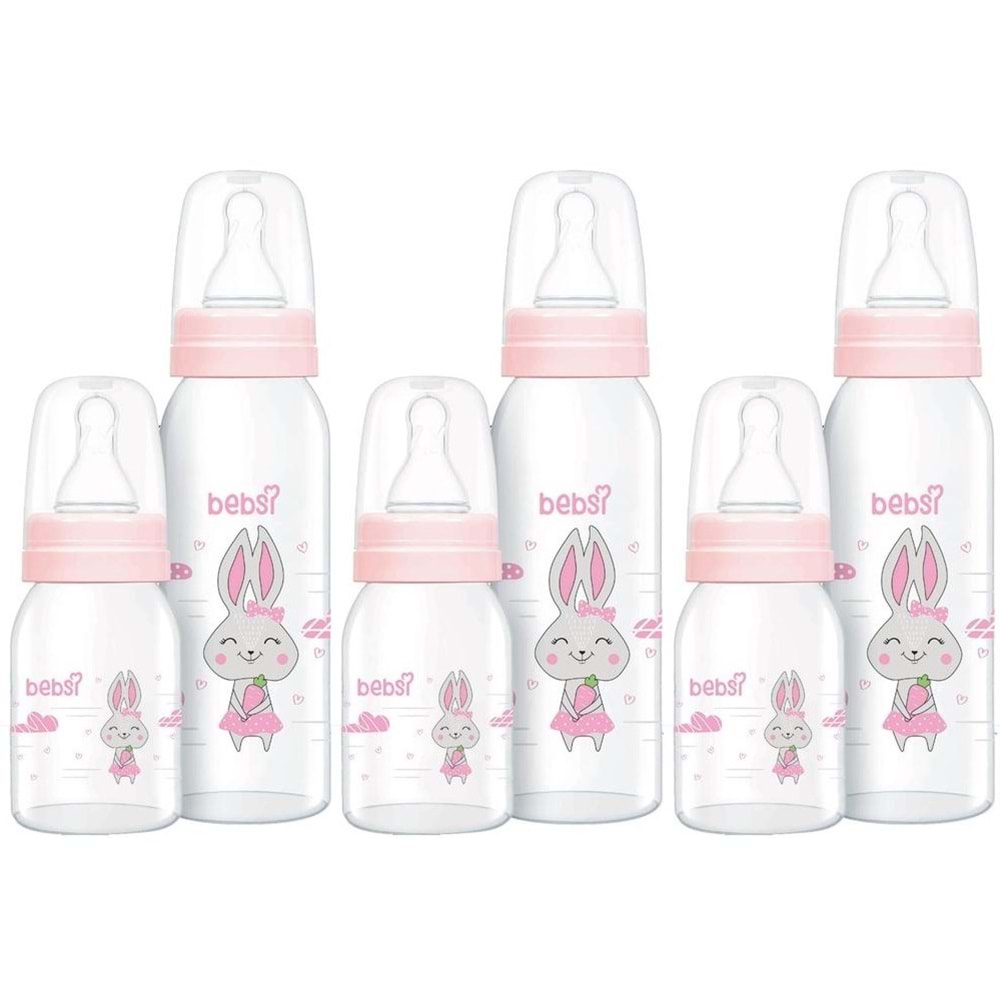 Bebsi Cam Biberon Seti Pembe (250ML+125ML) (3 Lü Set)