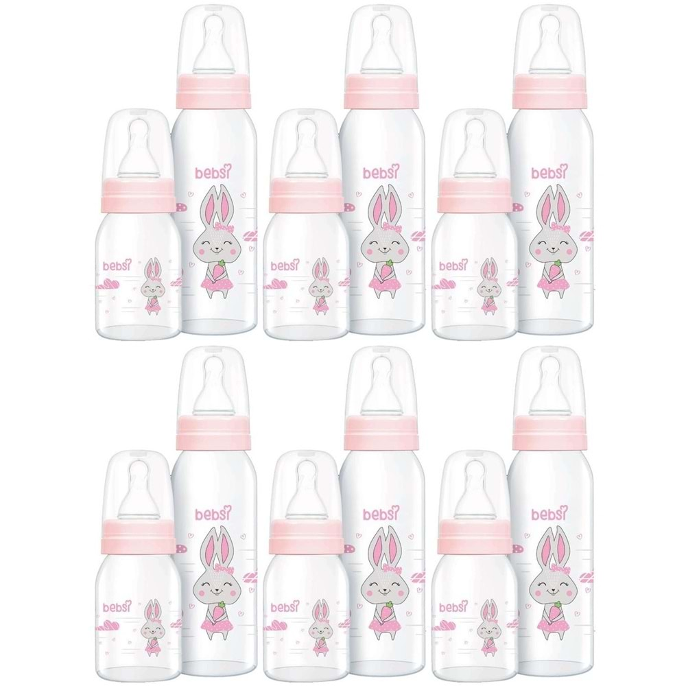 Bebsi Cam Biberon Seti Pembe (250ML+125ML) (6 Lı Set)