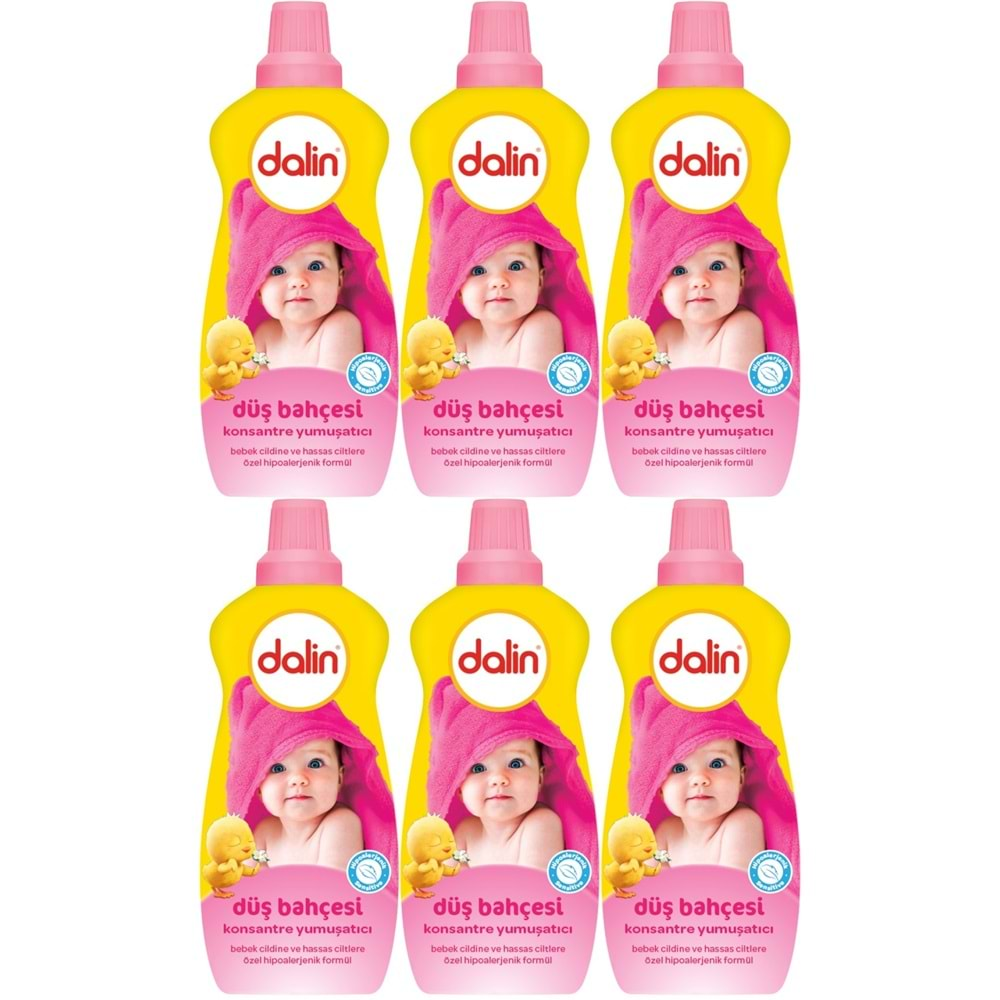 Dalin Çamaşır Yumuşatıcı Konsantre 1200ML Düş Bahçesi (6 Lı Set)