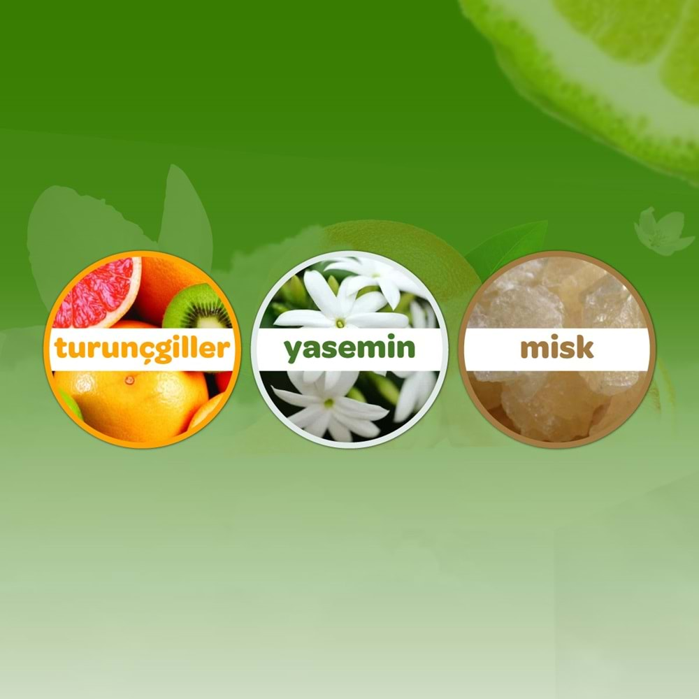 Dalin Bebek Kolonyası 150ML Orman Esintisi (Turunçgiller-Yasemin-Misk Kokulu)(3 Lü Set)