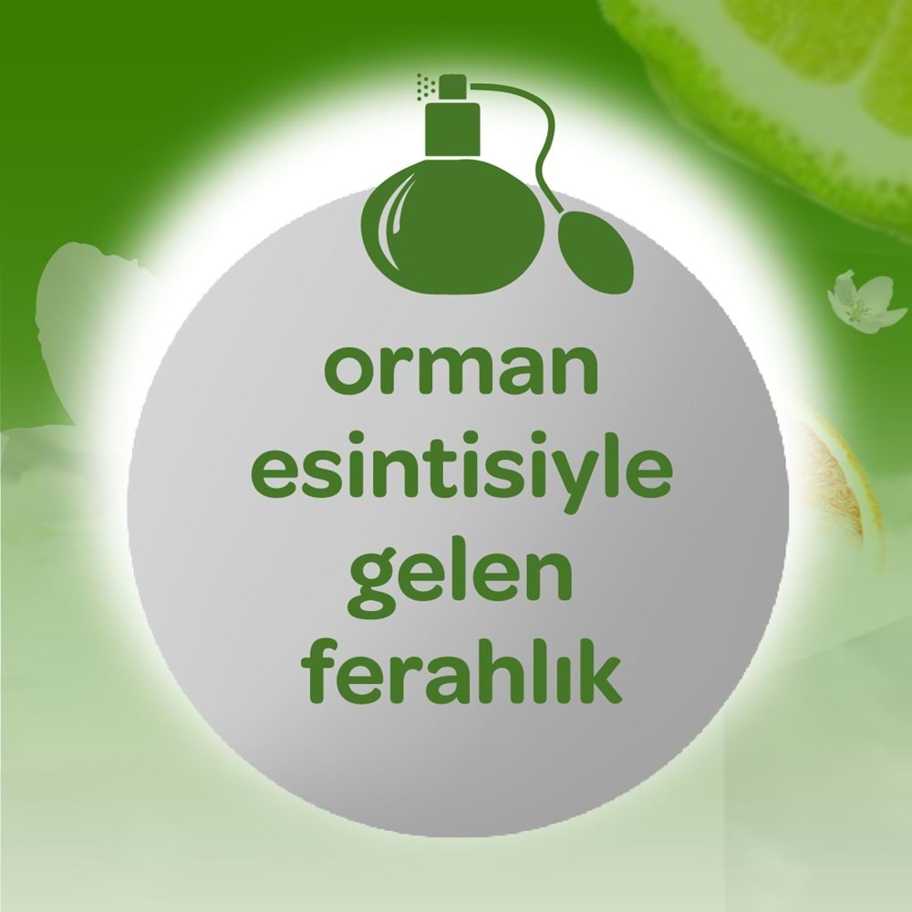 Dalin Bebek Kolonyası 150ML Orman Esintisi (Turunçgiller-Yasemin-Misk Kokulu)(3 Lü Set)