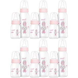 Bebsi Cam Biberon Seti Pembe (250ML+125ML) (6 Lı Set)