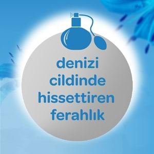 Dalin Bebek Kolonyası 150ML Deniz Esintisi (Bergomat-Zambak-Misk Kokulu) (18 Li Set)