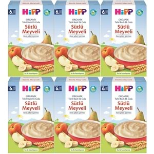 Hipp Organik Sütlü Meyveli Tahıl Bazlı Kaşık Maması 250Gr (6 Lı Set)