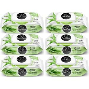 Papilion Islak Havlu Mendil 100 Yaprak Aloevera (6 Lı Set) 600 Yaprak