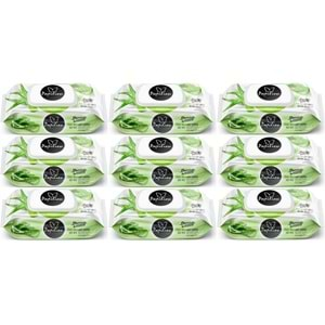 Papilion Islak Havlu Mendil 100 Yaprak Aloevera (9 Lu Set) 900 Yaprak