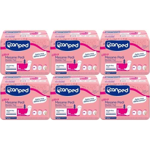 Canped Mesane Pedi Ultra Large-Büyük 60 Adet (6PK*10)