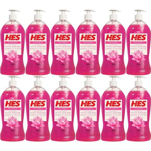 HES Sıvı Sabun 750ML Yeni Bahar (Pompalı) (12 Li Set)