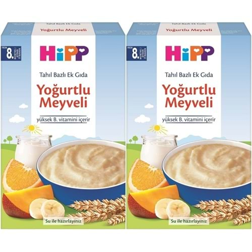 Hipp Organik Sütlü Yoğurtlu Meyveli Kaşık Maması 250Gr (2 Li Set)