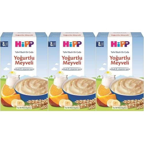 Hipp Organik Sütlü Yoğurtlu Meyveli Kaşık Maması 250Gr (3 Lü Set)