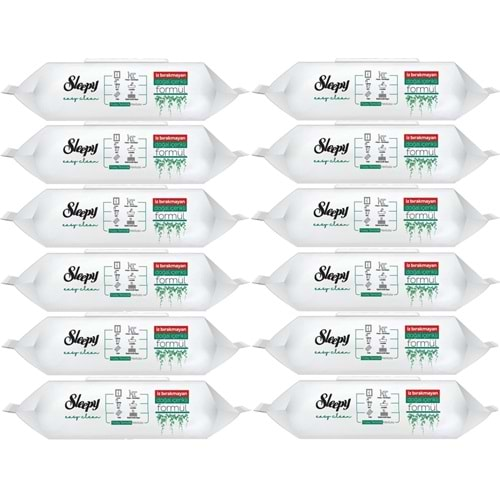 Sleepy Easy Clean Yüzey Temizlik Havlusu 100 Yaprak Plastik Kapaklı (12 Li Set) 1200 Yaprak