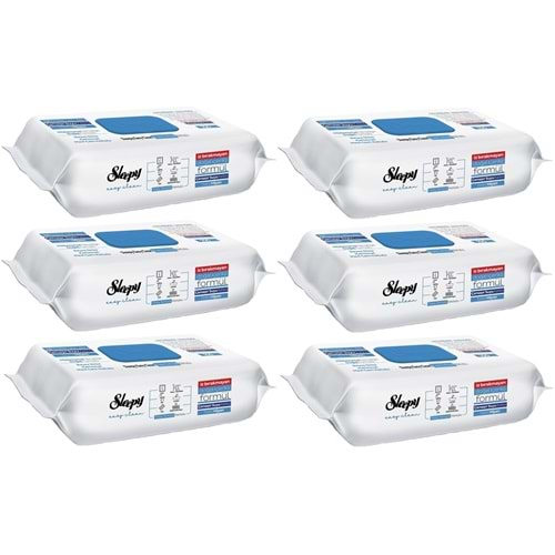 Sleepy Easy Clean Yüzey Temizlik Havlusu 100 Yaprak Çamaşır Suyu Etkili (6 Lı Set) 600 Yaprak