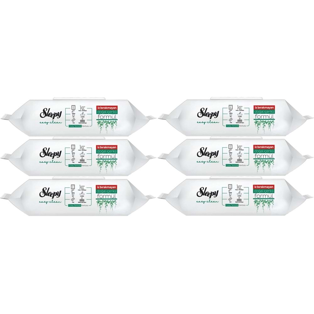 Sleepy Easy Clean Yüzey Temizlik Havlusu 100 Yaprak Plastik Kapaklı (6 Lı Set) 600 Yaprak