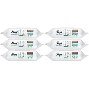 Sleepy Easy Clean Yüzey Temizlik Havlusu 100 Yaprak Plastik Kapaklı (6 Lı Set) 600 Yaprak